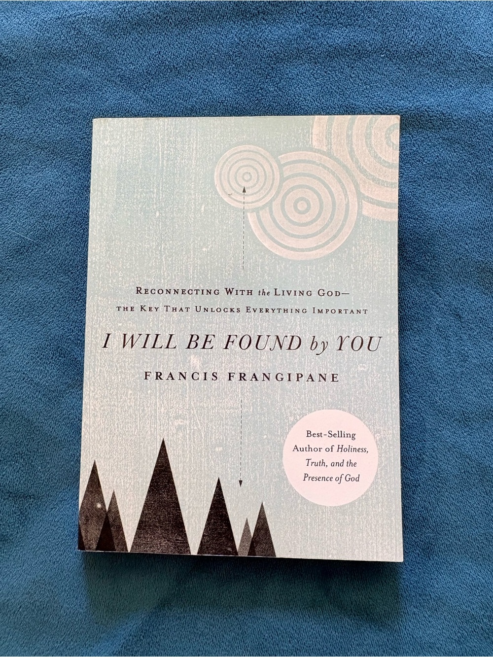 I Will Be Found by You by Francis Frangipane - Light Blue Cover